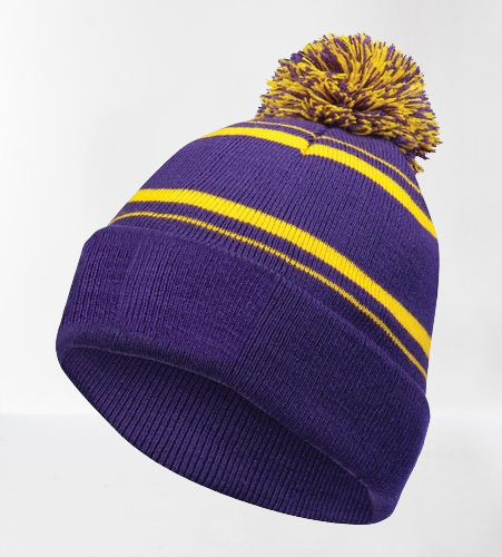 Holloway Homecoming Beanie